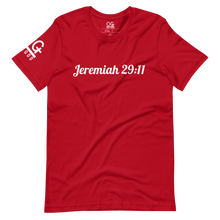 Load image into Gallery viewer, Men's/Unisex "Jeremiah 29:11" T Shirt